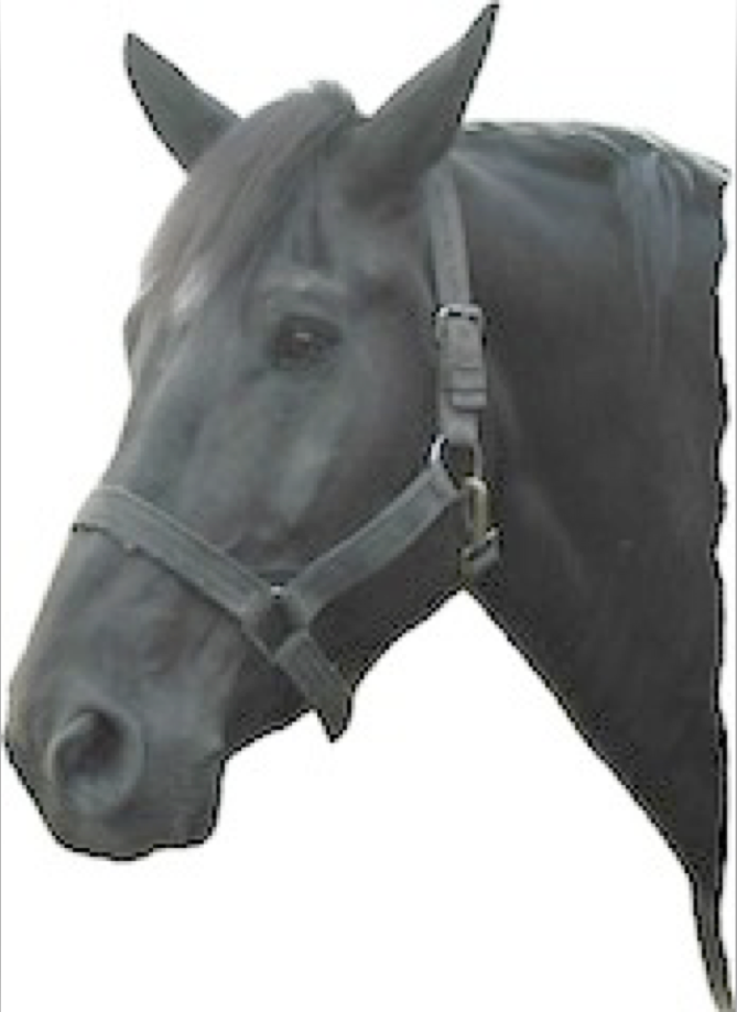 An example `Image`.