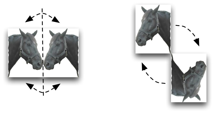 The geometrical view of `flipV` and `rotate`.